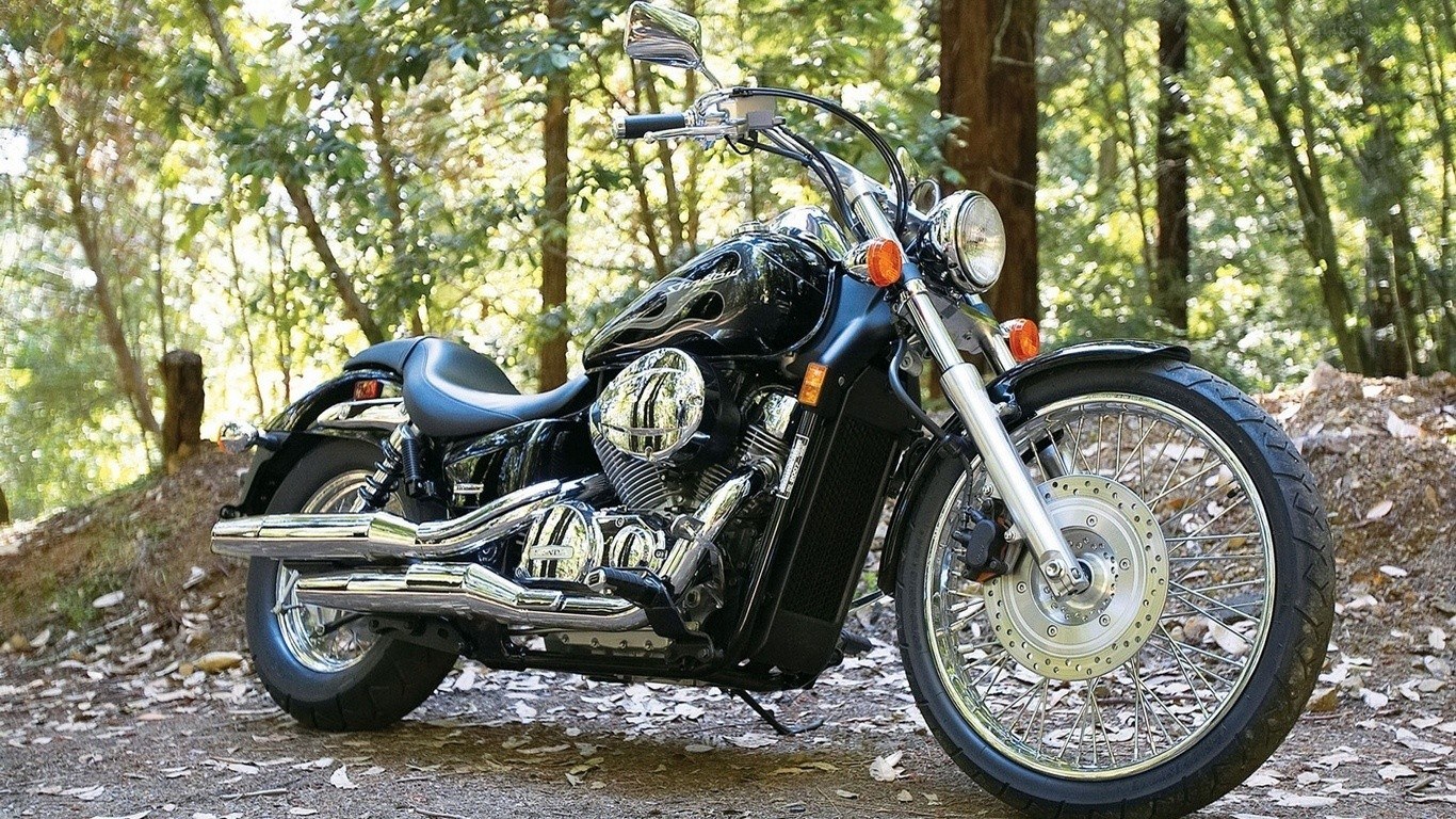 Black motorcycle in forest