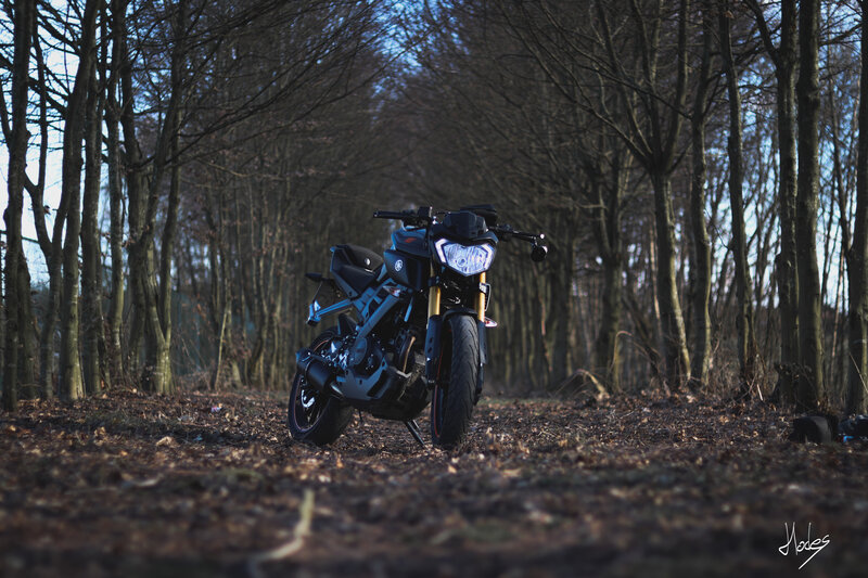 Black Motorcycle in Forest — Dramatic