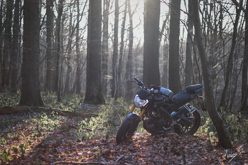 Black Motorcycle in Forest — Serene