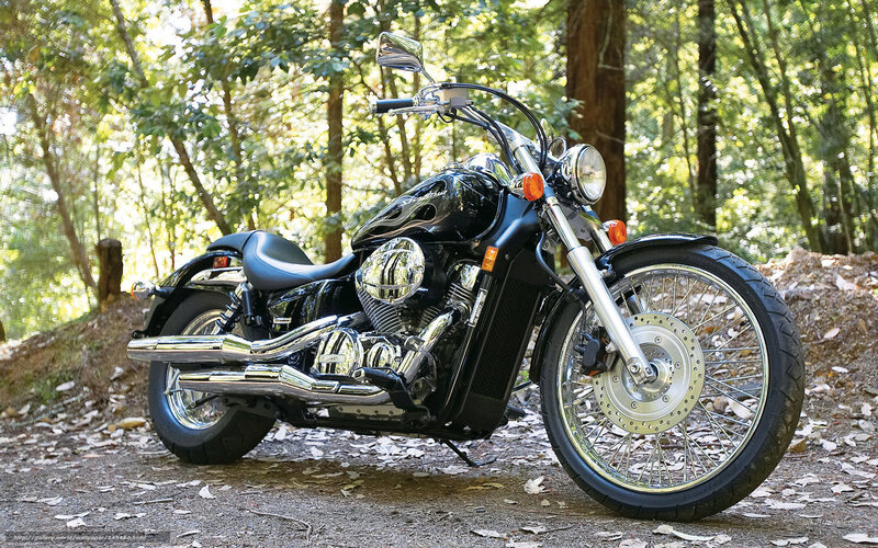 Black motorcycle in forest