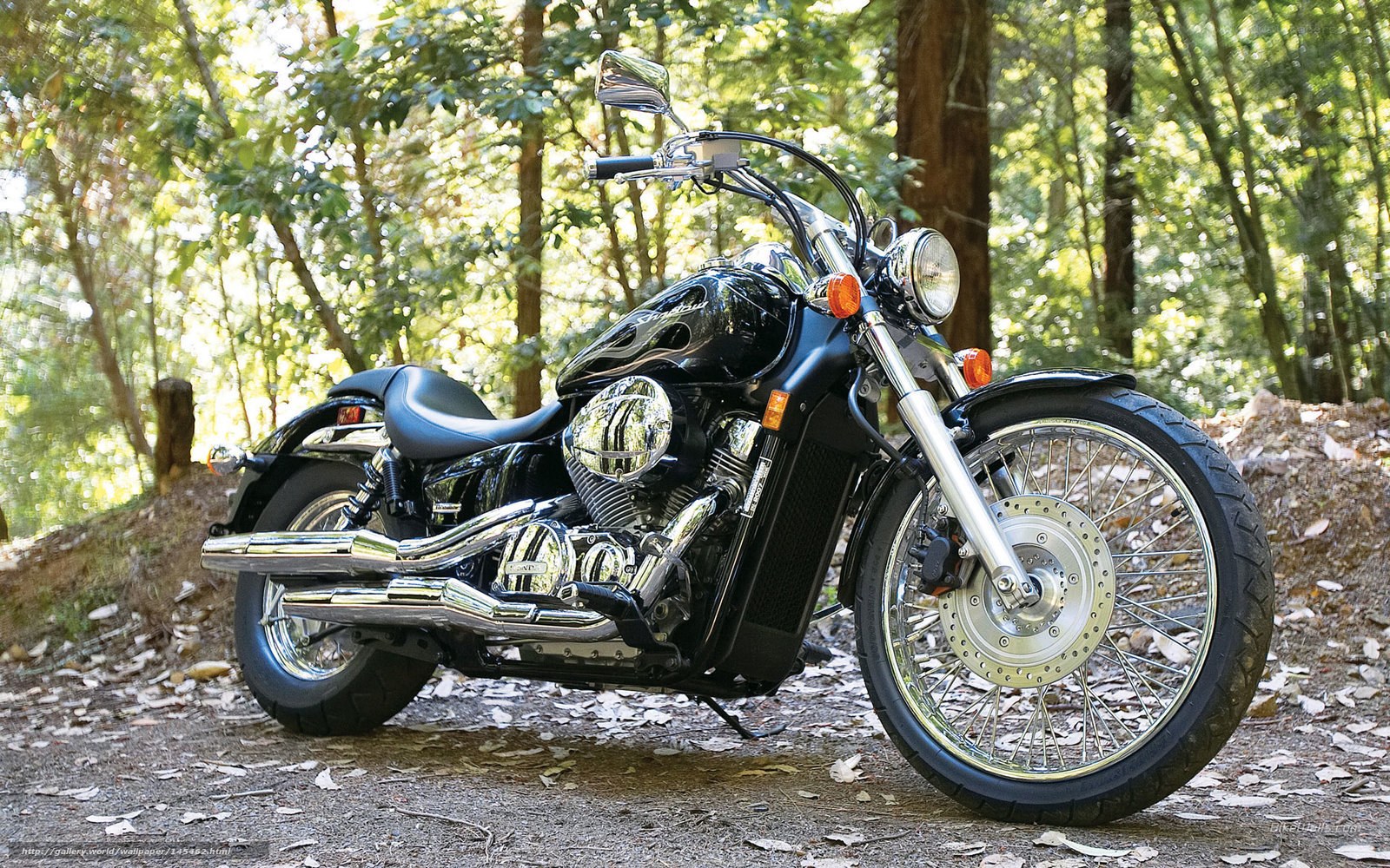 Black motorcycle in forest