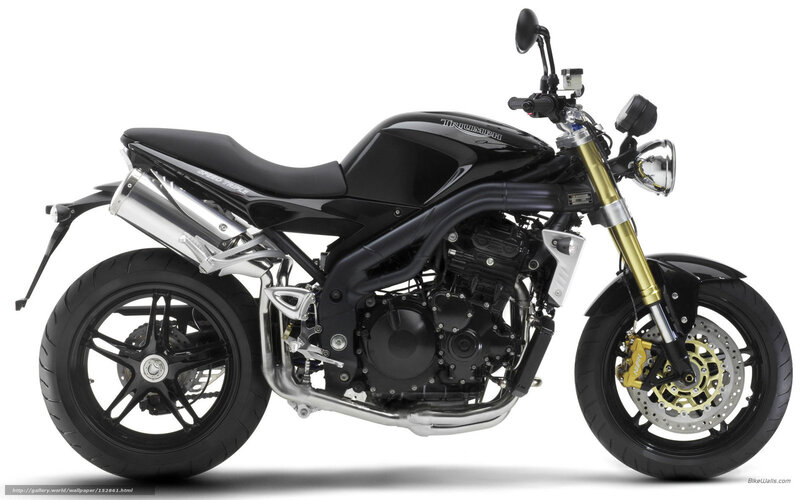 Black Motorcycle — Neutral, Photograph, Exhaust Pipe, Gold Fork