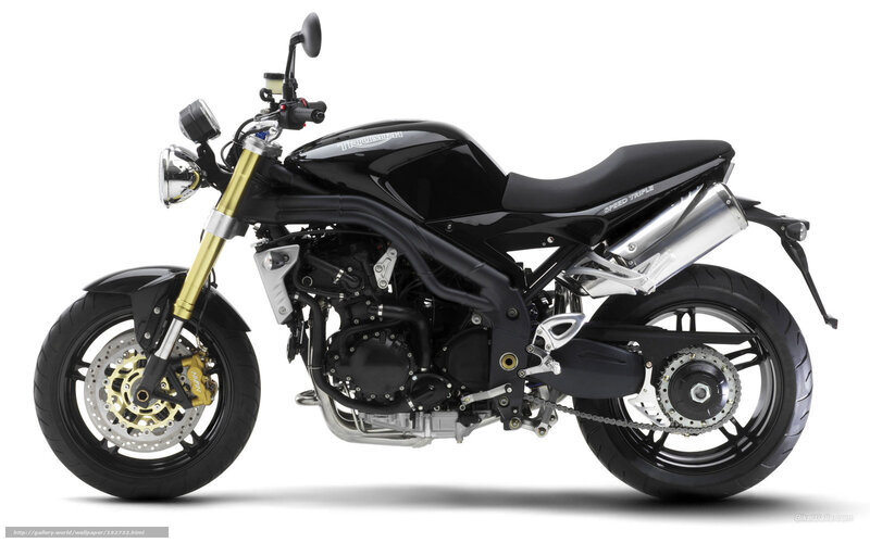 Black Motorcycle — Neutral, Photograph, Gold Front Forks
