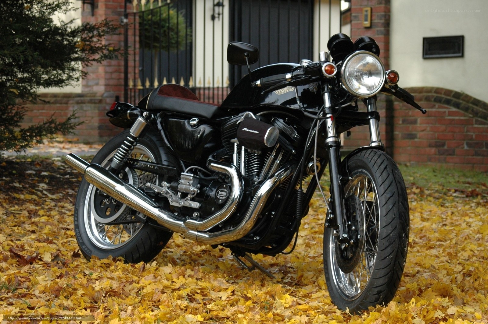 black motorcycle on autumn leaves