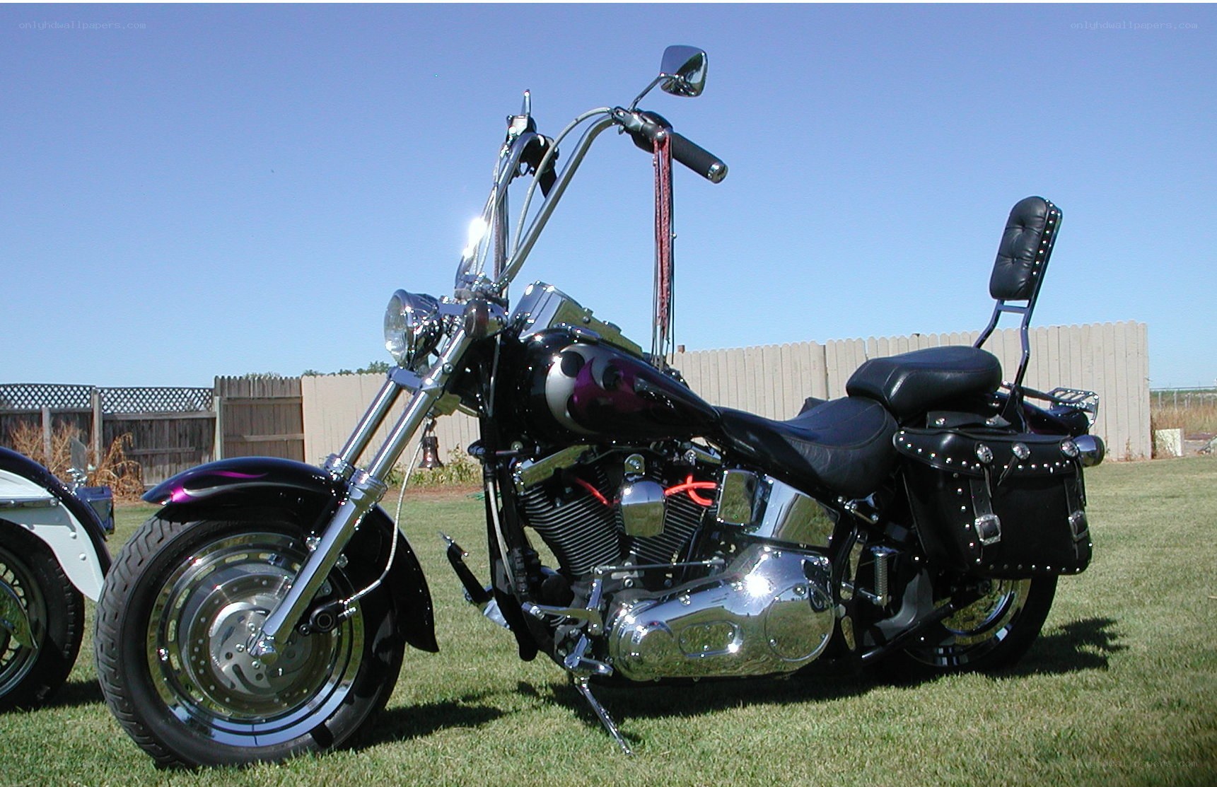 black motorcycle on grass