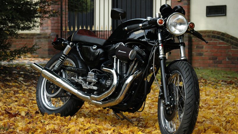 Black Motorcycle on Leaves