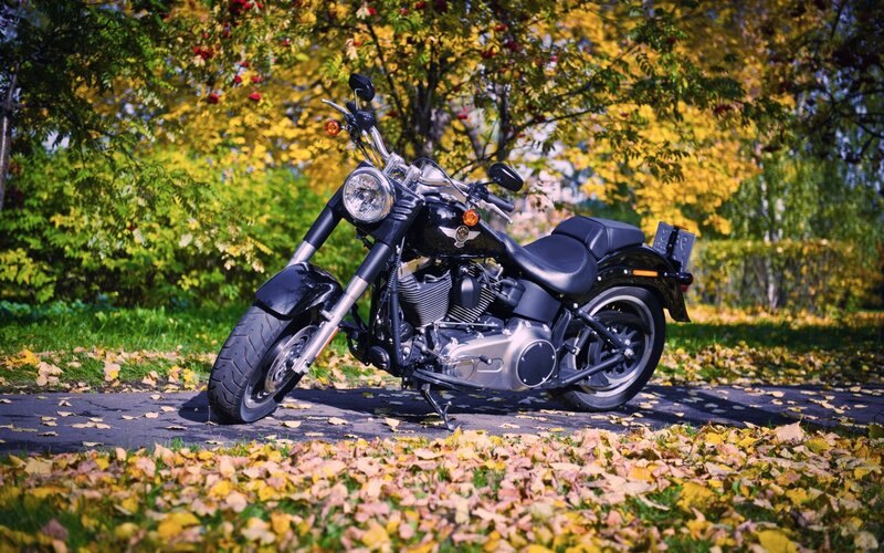 Black Motorcycle on Path