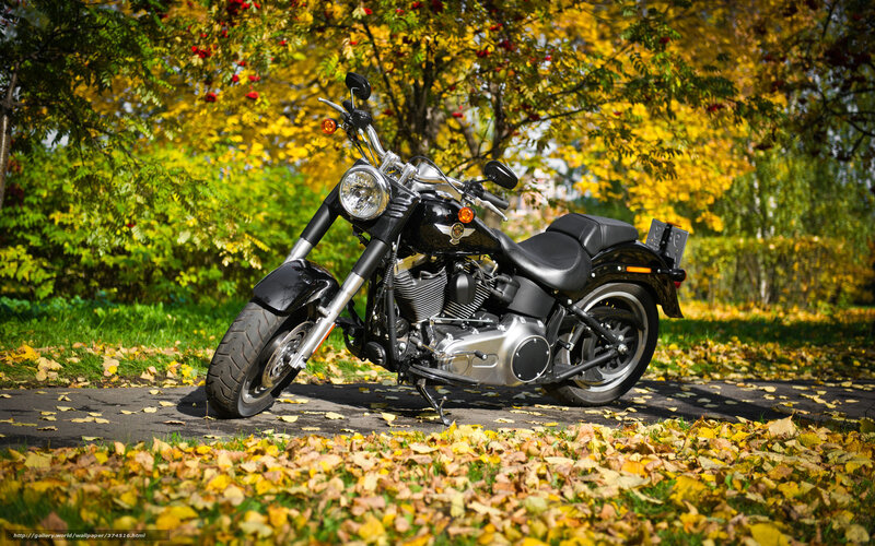 Black Motorcycle on Path — Yellow, Serene