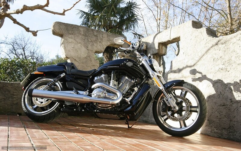 Black Motorcycle on Patio — Calm, Afternoon, Photograph, Brick Floor