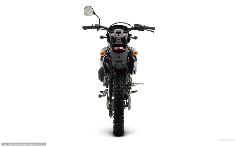 black motorcycle rear view