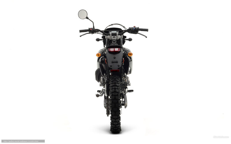 Black Motorcycle Rear View — Neutral, Photograph