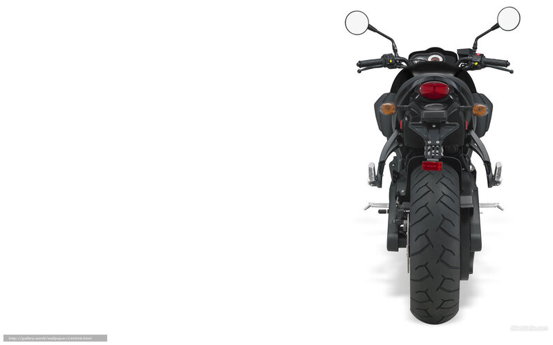 black motorcycle rear view