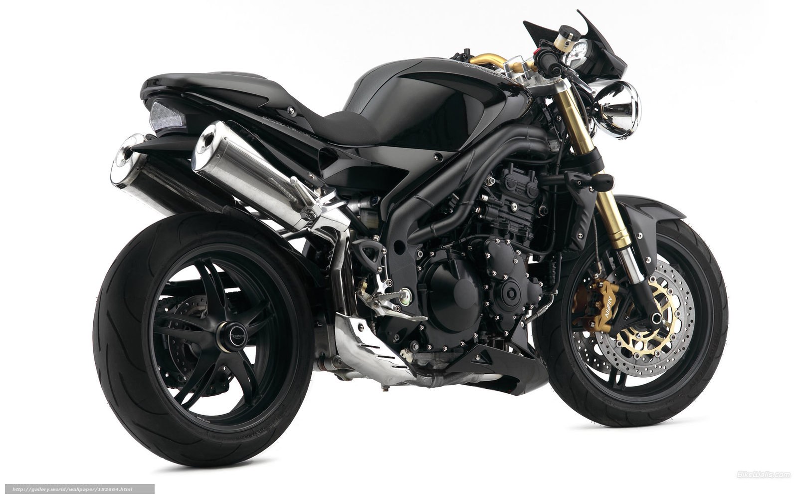 black motorcycle with gold accents