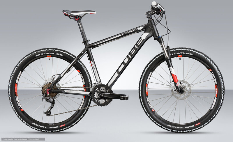 Black Mountain Bike — Neutral