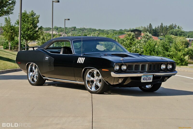 Black Muscle Car — Calm, Afternoon, Photograph, License Plate, Trees