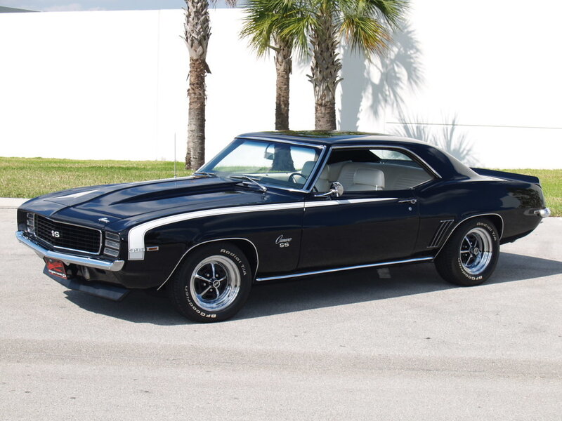 Black Muscle Car — Calm, Afternoon, Photograph, Palm Trees, Grass