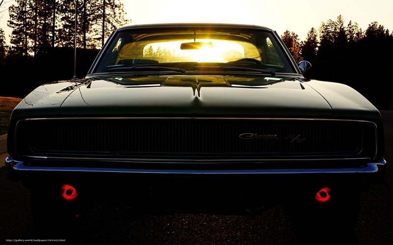 Black Muscle Car — Dramatic, Sunset, Photograph, Trees, Sun