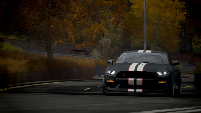Black Muscle Car — Dynamic, Autumn