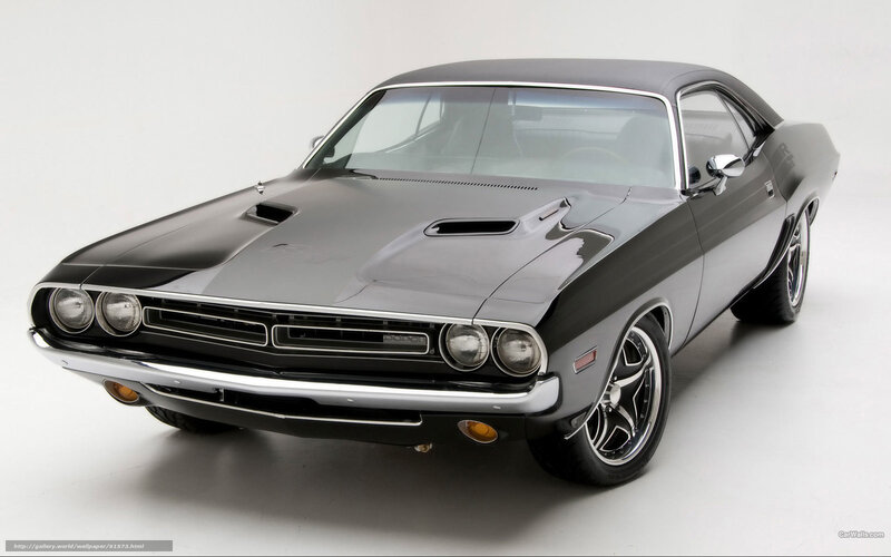 Black Muscle Car — Gray, Neutral, Photograph