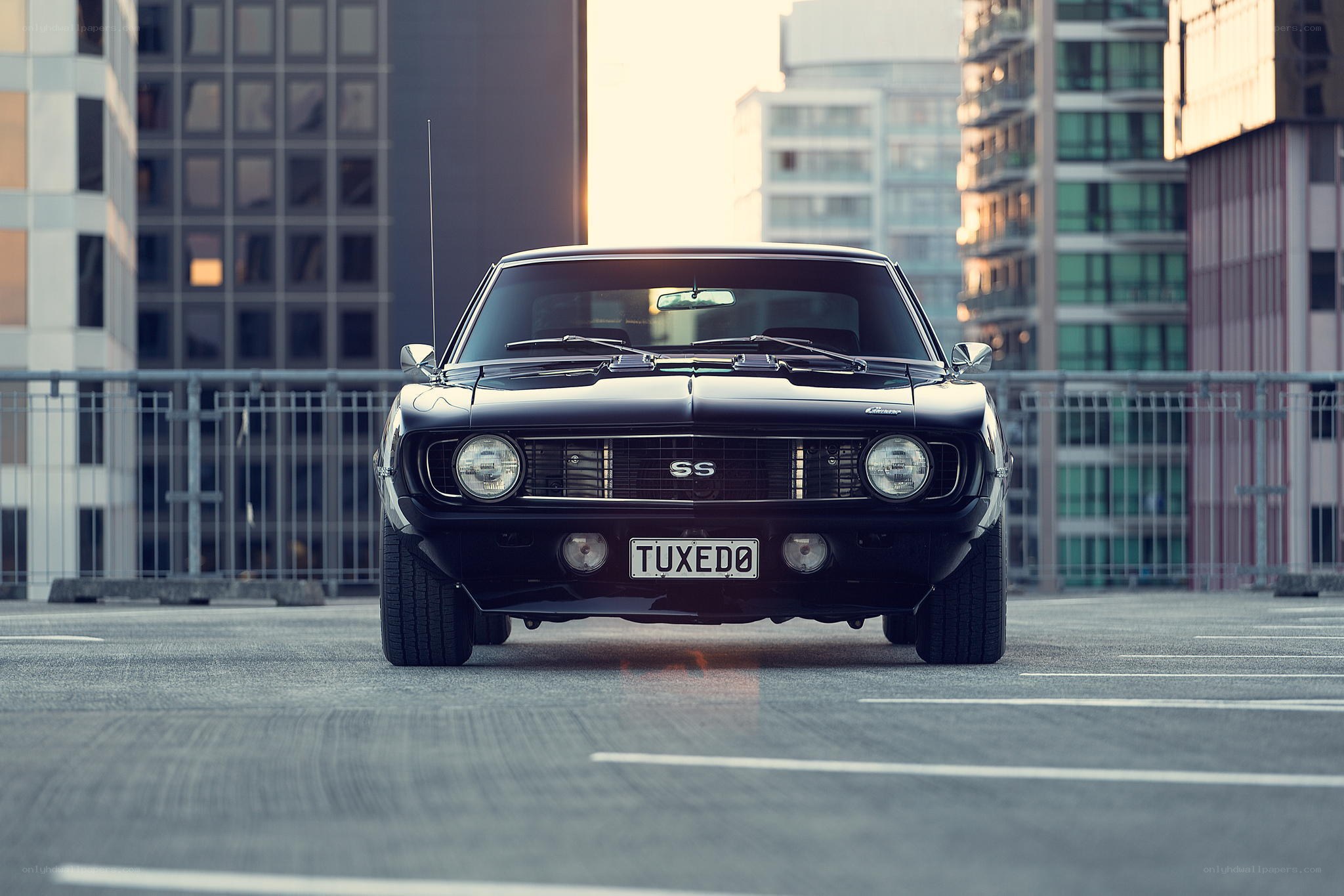 Black muscle car in city