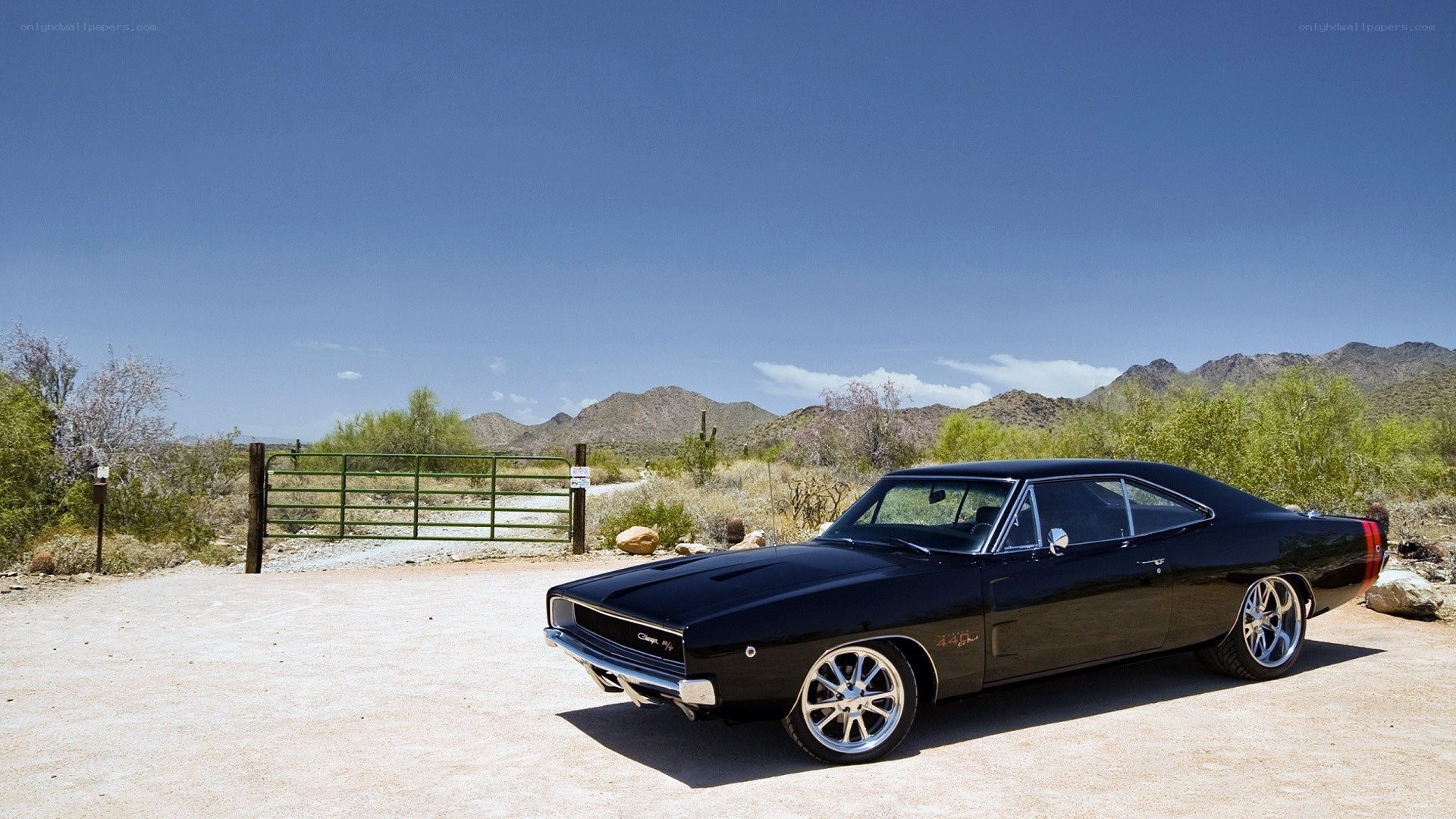Black muscle car in desert