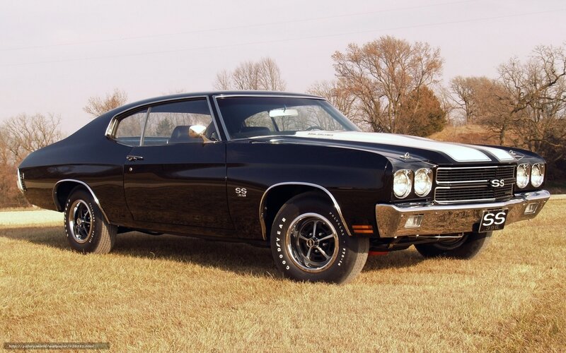 Black muscle car in field