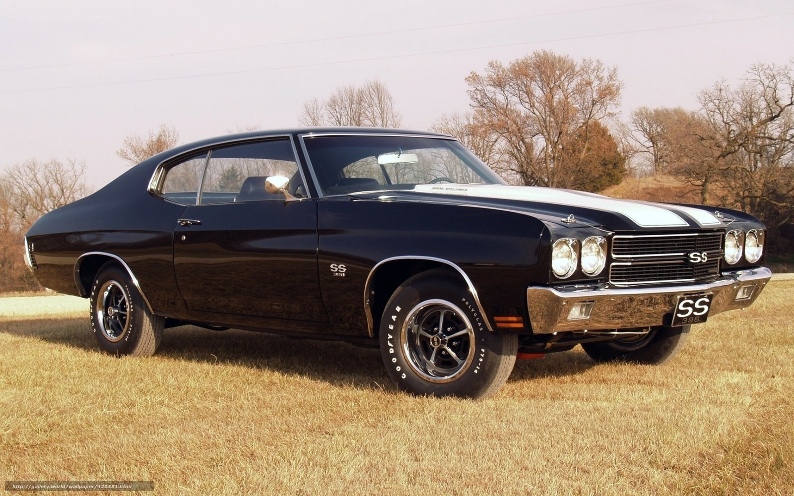 Black muscle car in field