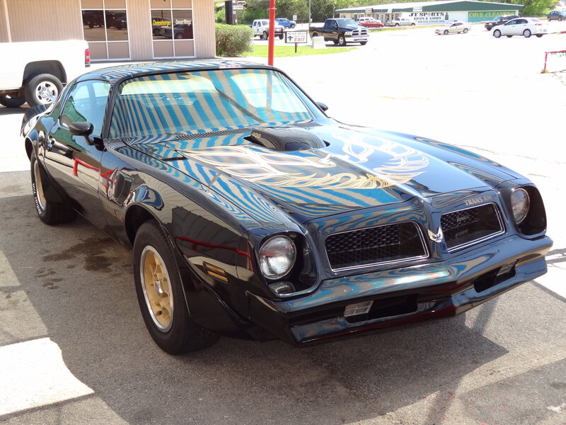 Black Muscle Car — Neutral, Afternoon, Photograph