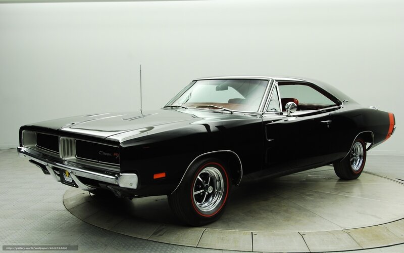 Black Muscle Car — Neutral, Photograph, Antenna