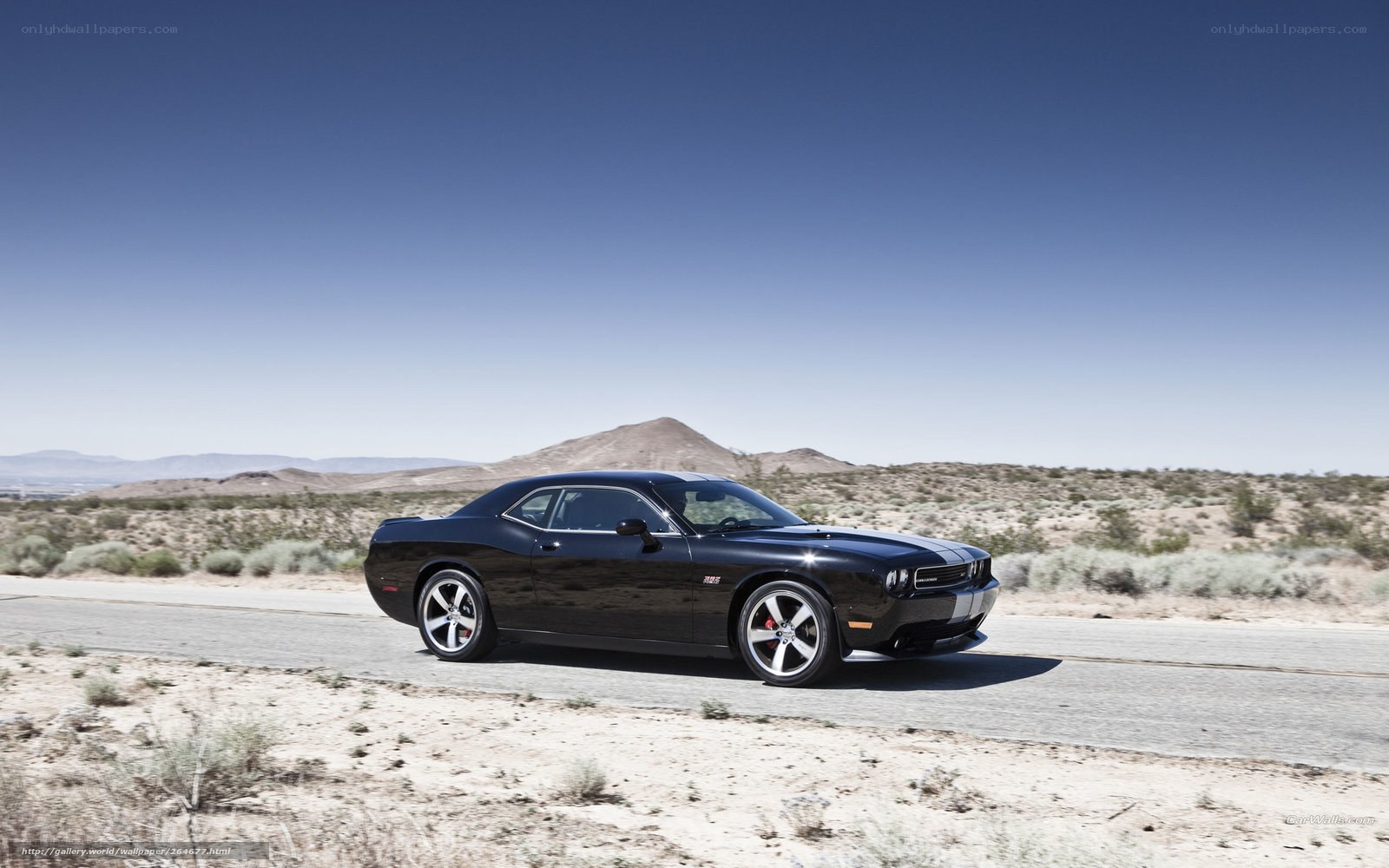 Black muscle car on desert road