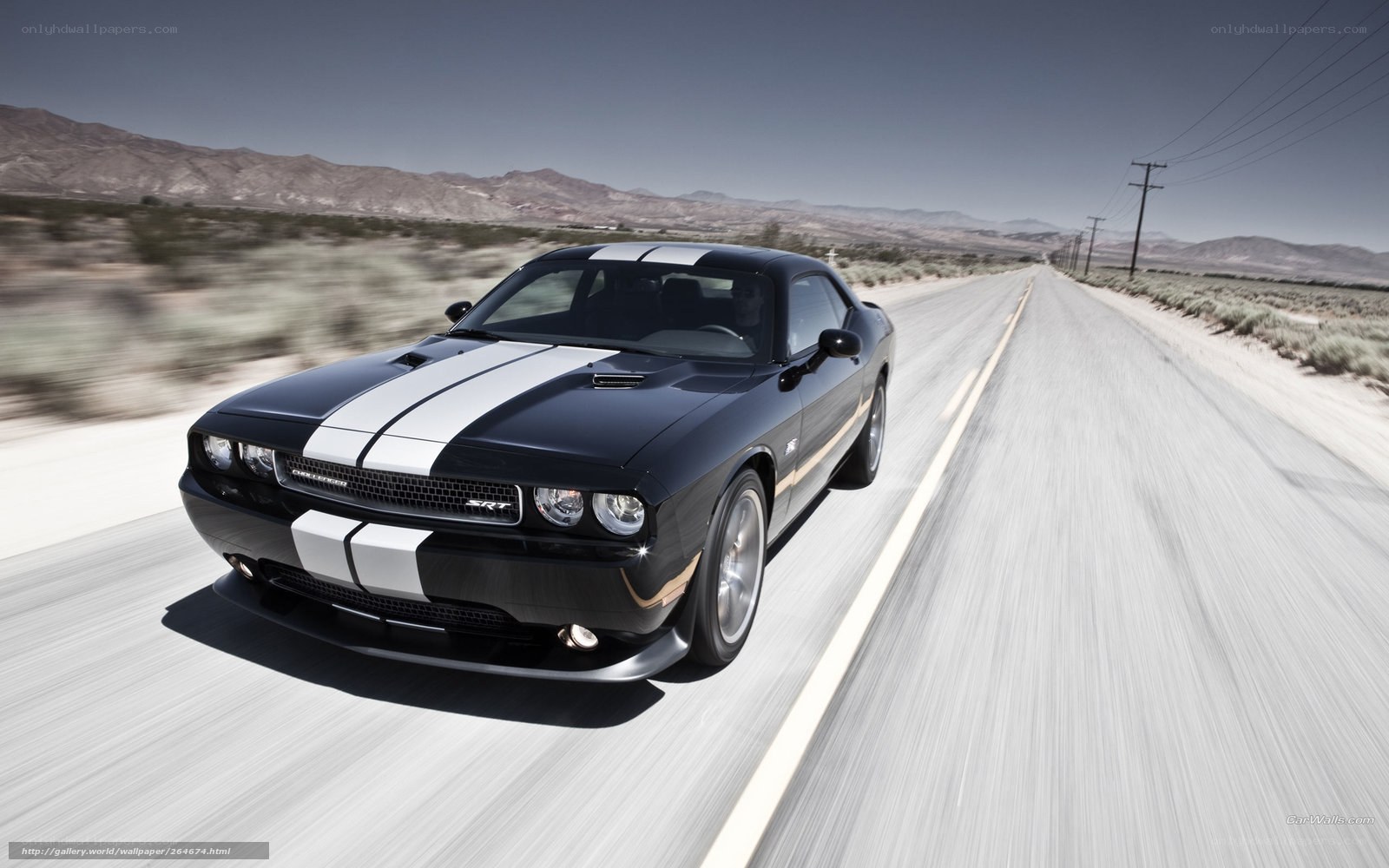 Black muscle car on desert road