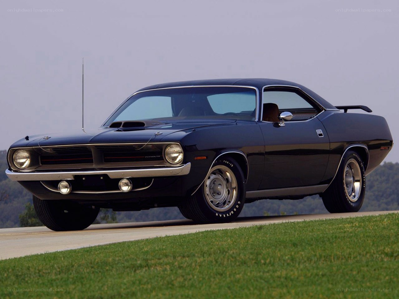 Black muscle car on road