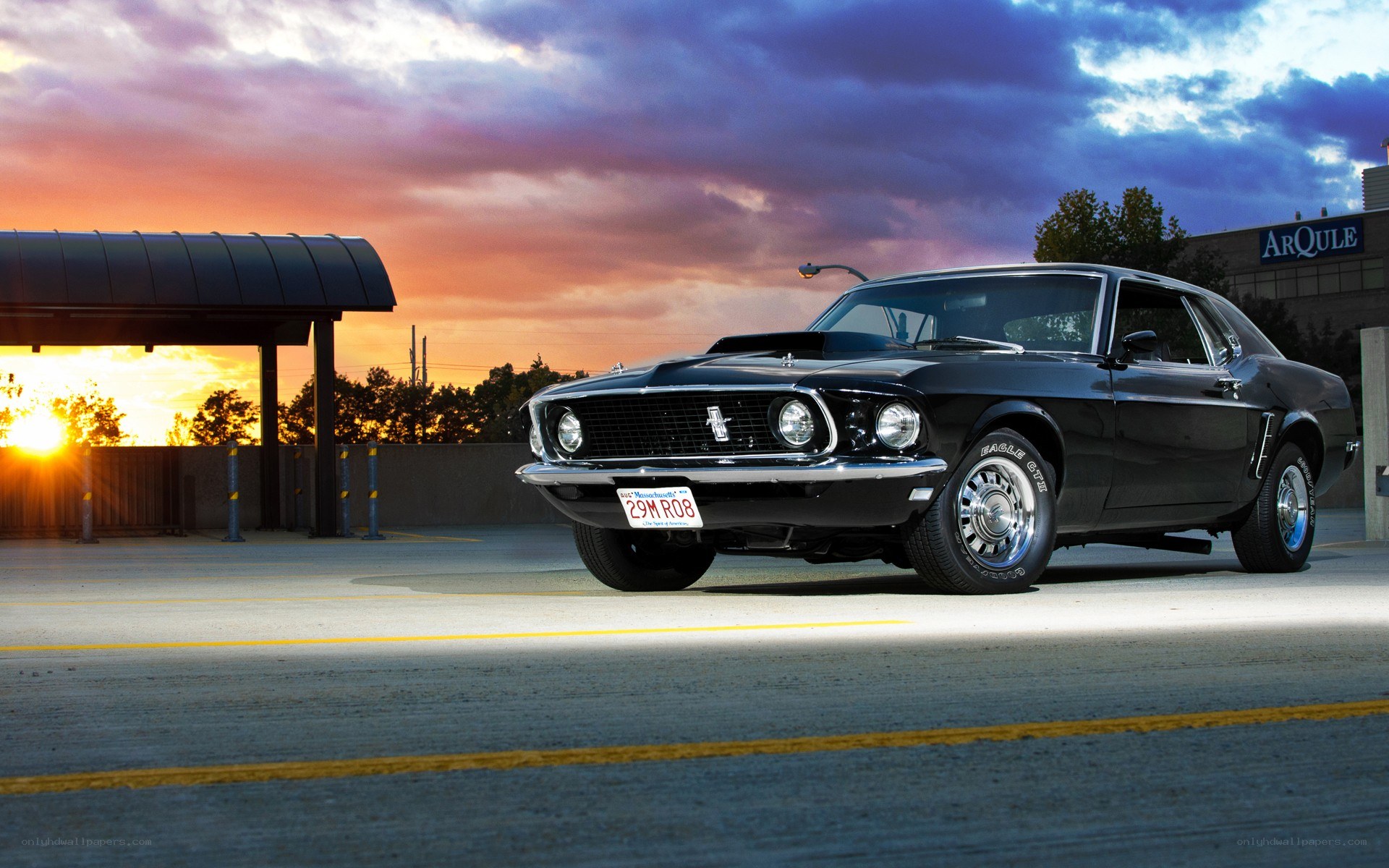 Black Mustang at sunset