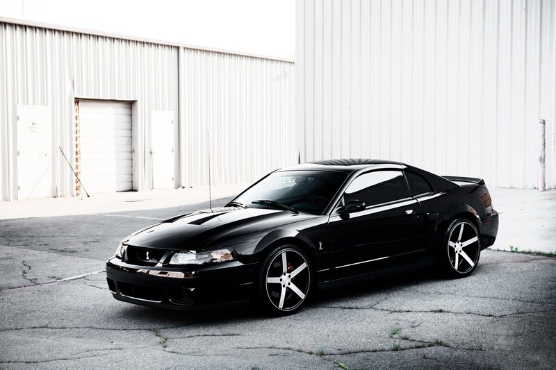 Black Mustang Car — Dramatic, Afternoon, Photograph, Building, Garage Door, Asphalt