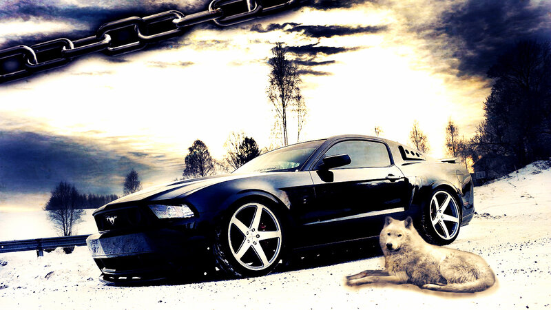 Black Mustang Car — Dramatic, Winter