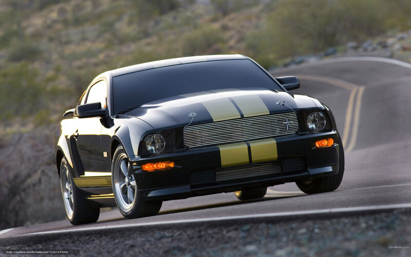 Black Mustang Car — Dynamic, Afternoon, Photograph
