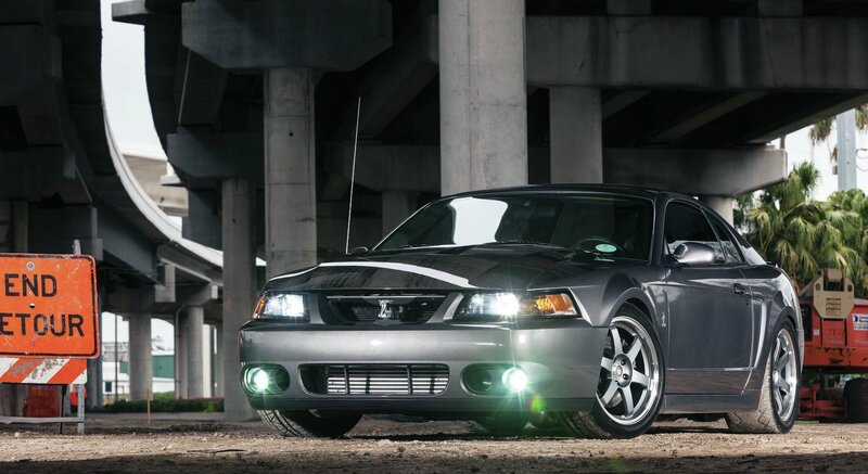 Black Mustang Car — Gray