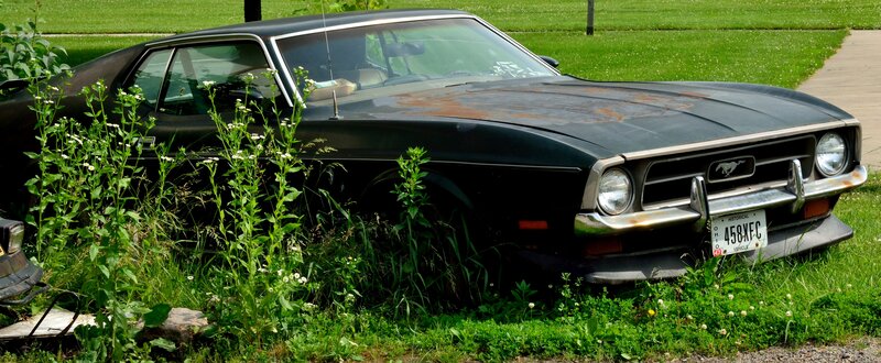 Black Mustang Car — Green