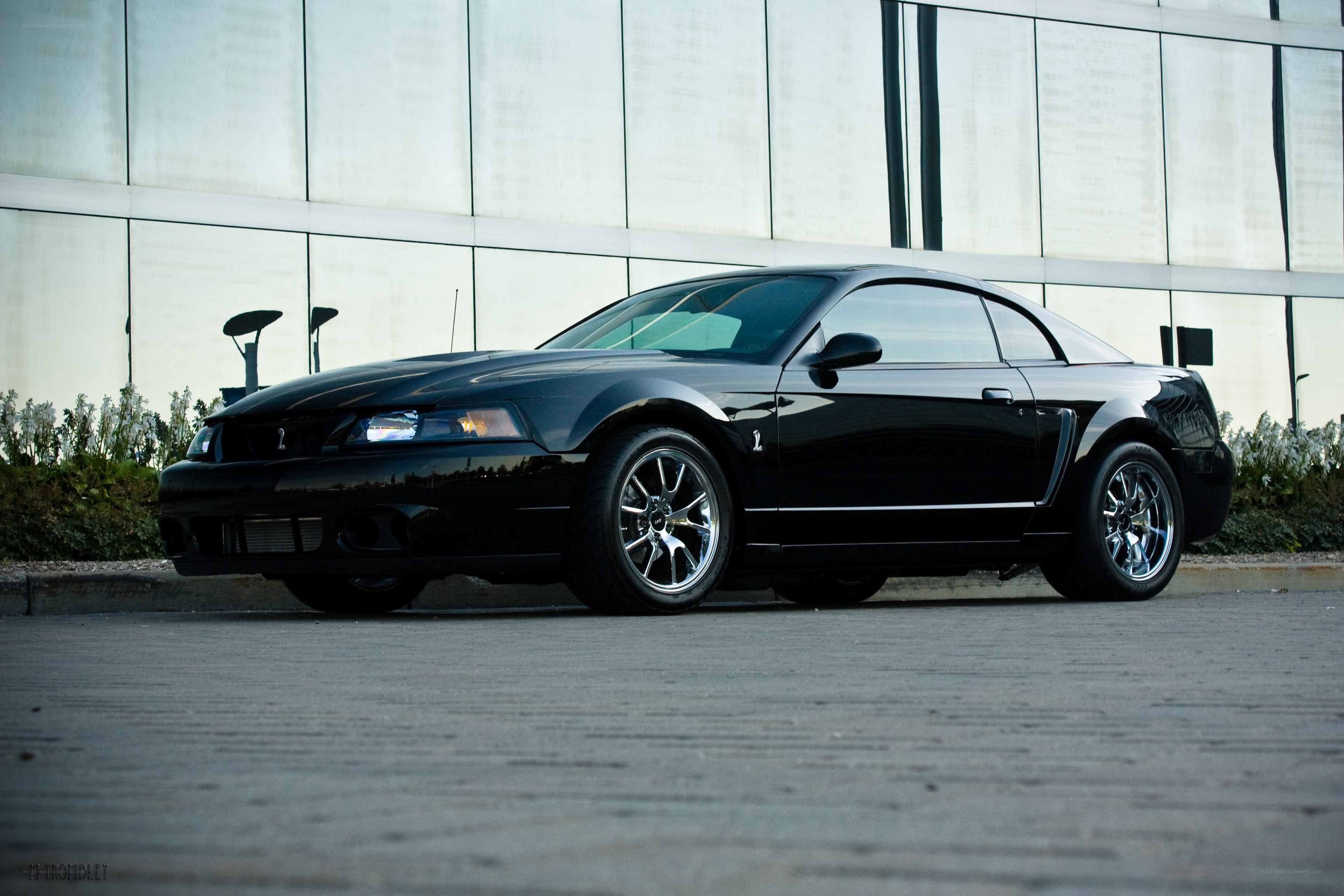 black mustang coupe parked
