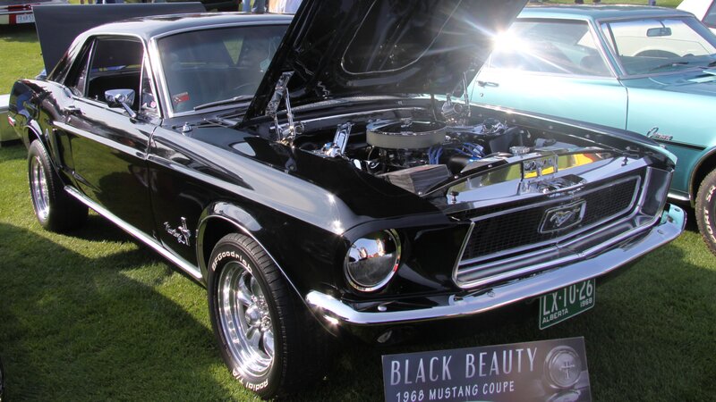 Black Mustang Coupe — Showcase