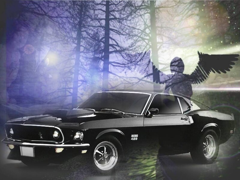 Black Mustang in a mystical forest