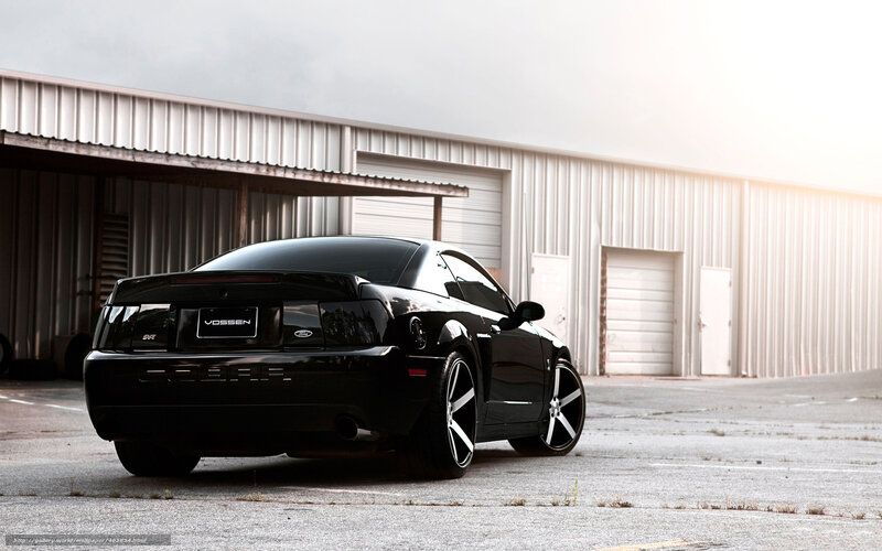 black mustang in industrial lot