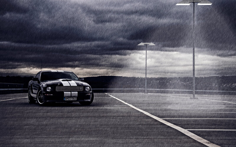 Black Mustang in Rain