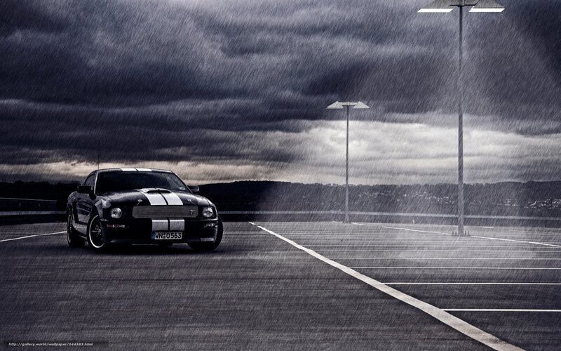 Black Mustang in Rainy Parking Lot