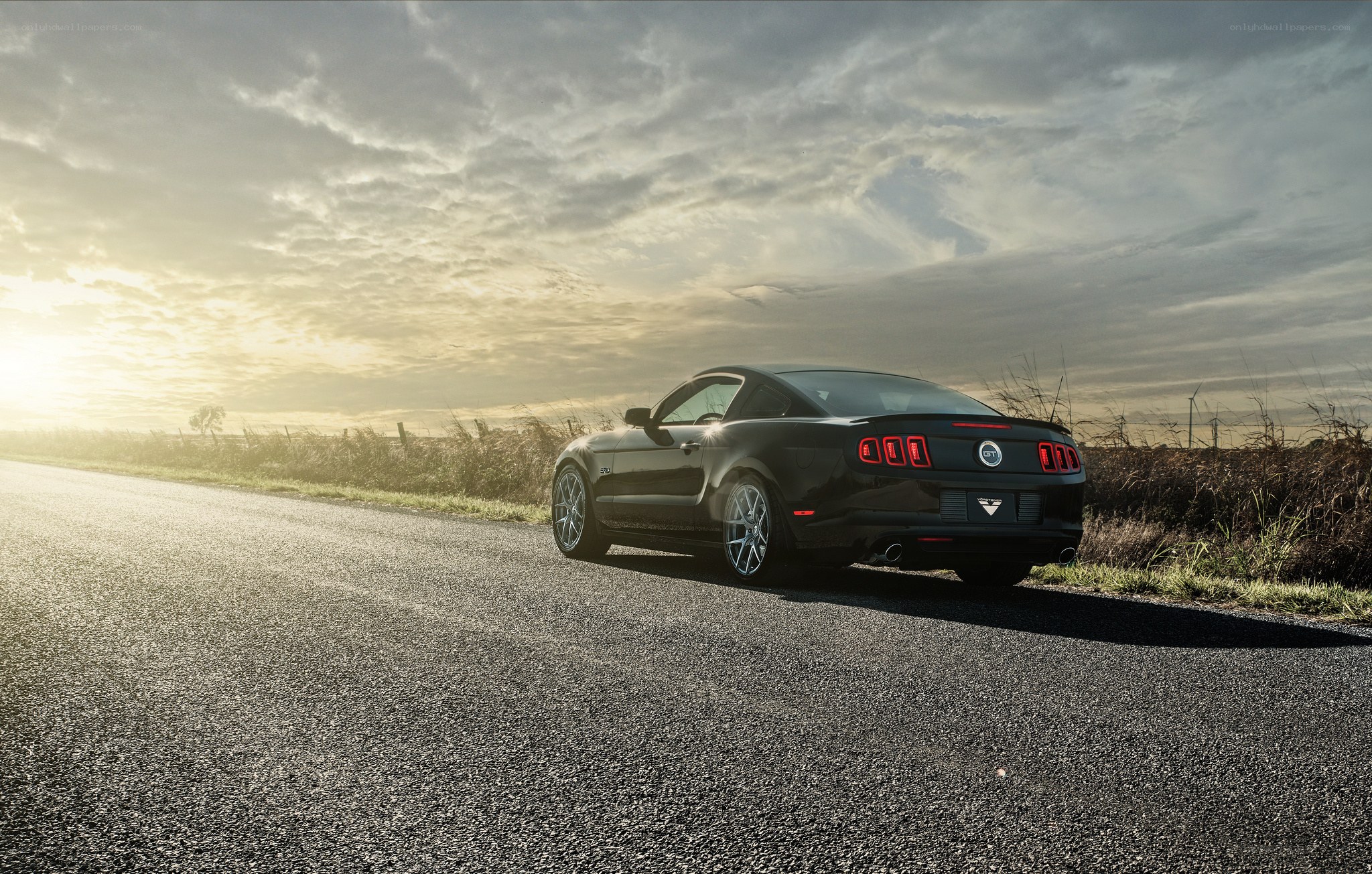 Black Mustang on a country road