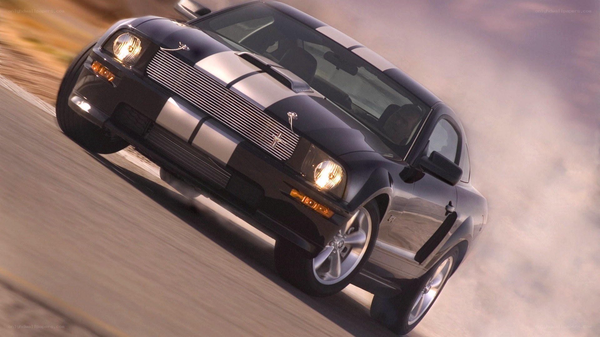 black mustang on a road
