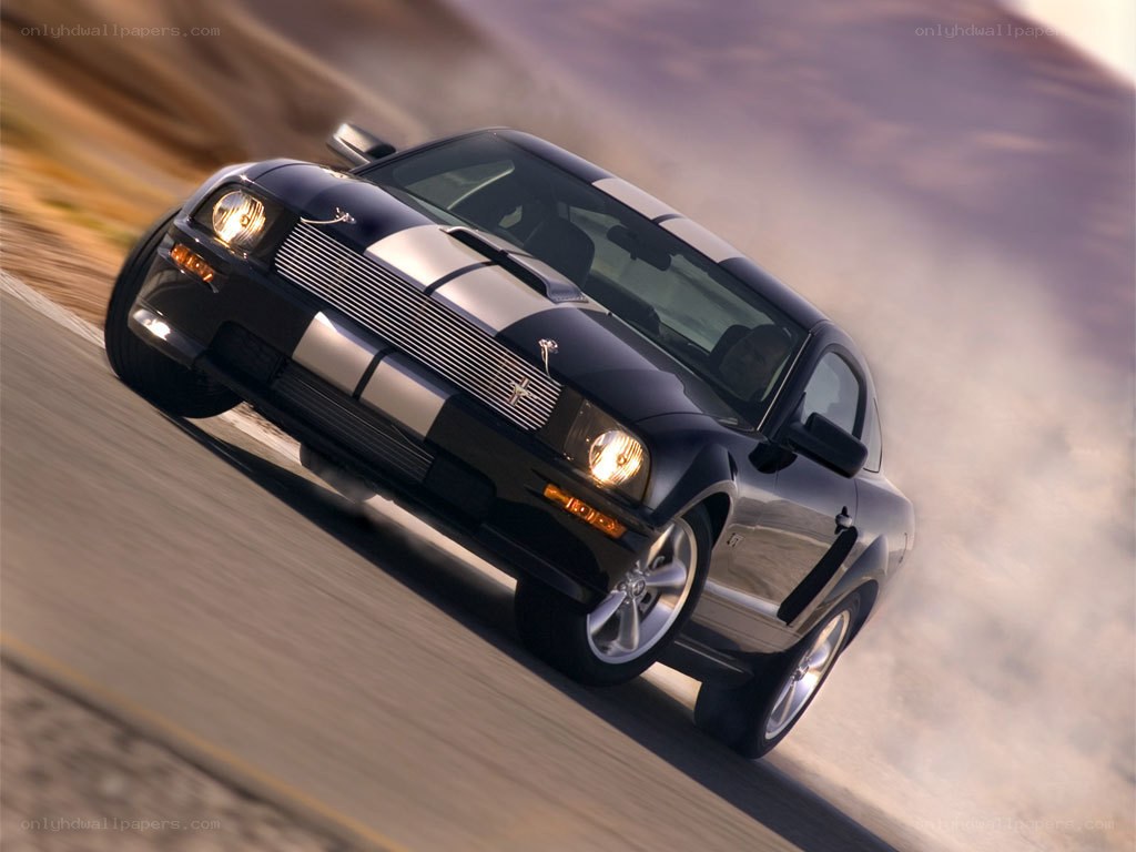 black mustang on a road