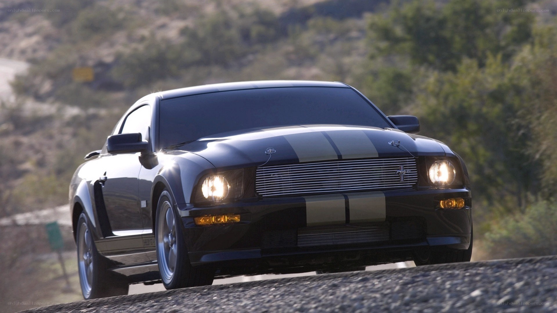 black mustang on a road