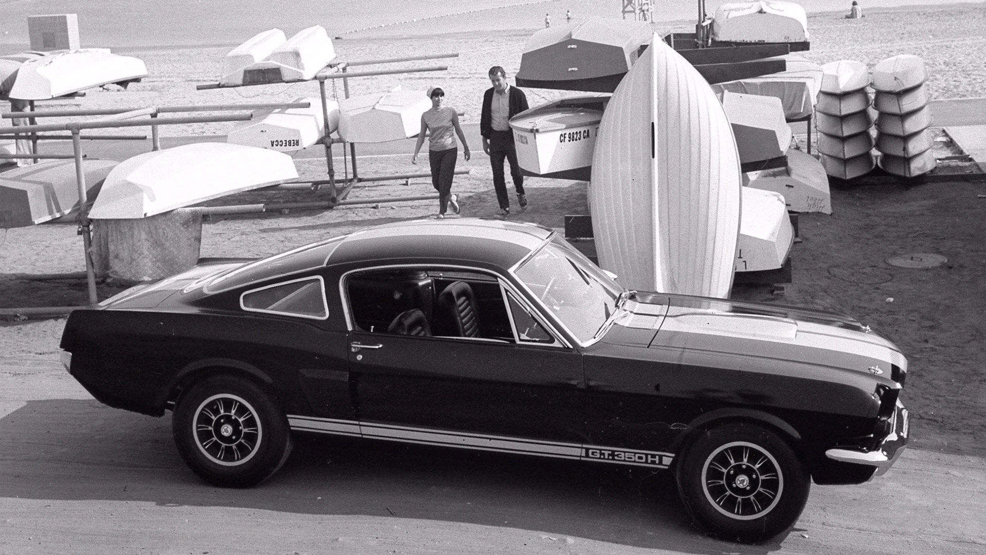 Black Mustang on beach