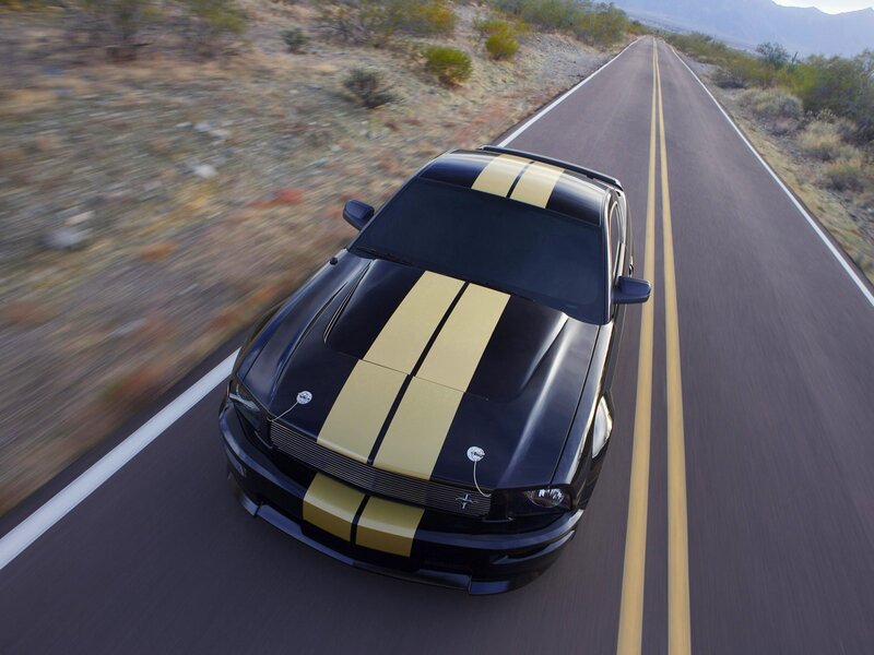 black mustang on desert road